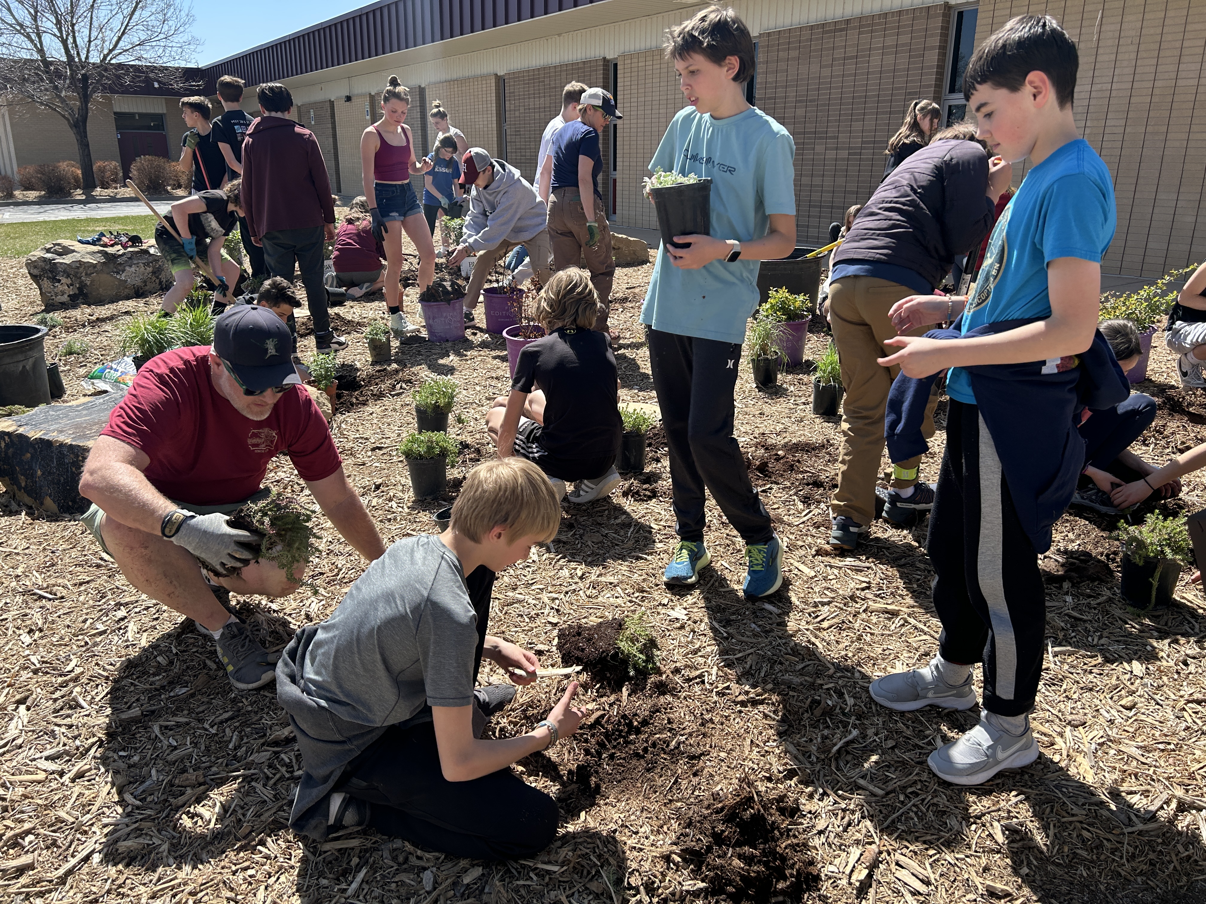 Middle school students planting flowers out front of a school.